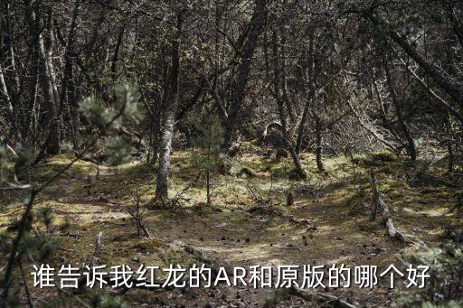 谁告诉我红龙的AR和原版的哪个好