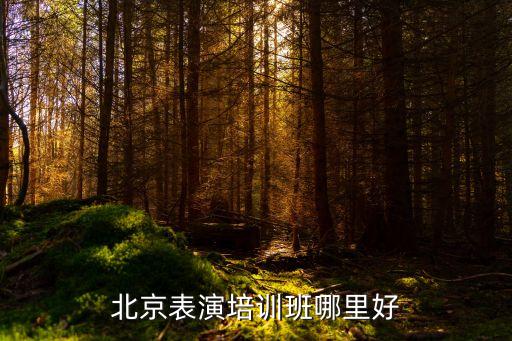 北京表演培训班哪里好