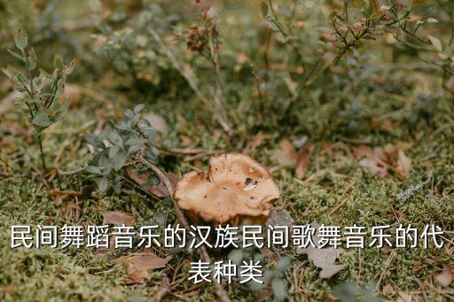 民间舞蹈音乐的汉族民间歌舞音乐的代表种类