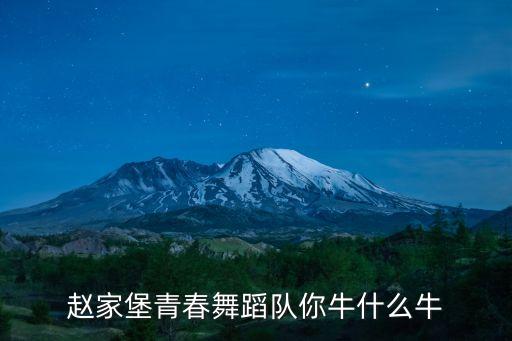 赵家堡青春舞蹈队你牛什么牛