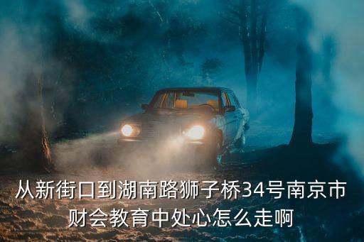 从新街口到湖南路狮子桥34号南京市财会教育中处心怎么走啊
