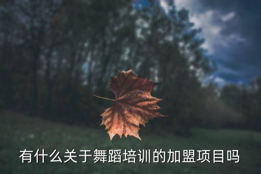 有什么关于舞蹈培训的加盟项目吗