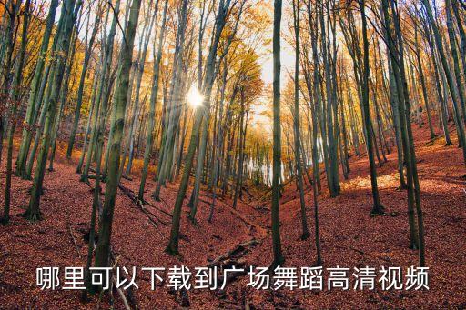 哪里可以下载到广场舞蹈高清视频