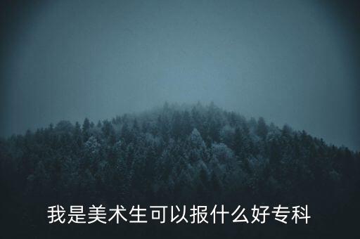 我是美术生可以报什么好专科