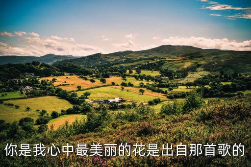 你是我心中最美丽的花是出自那首歌的