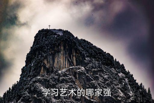 学习艺术的哪家强