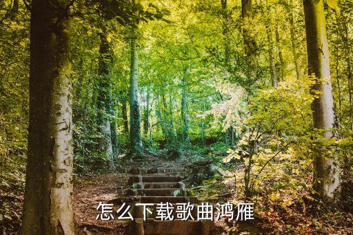 怎么下载歌曲鸿雁