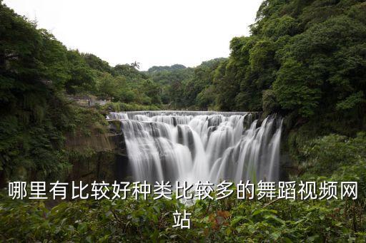 哪里有比较好种类比较多的舞蹈视频网站