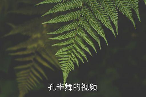 孔雀舞的视频