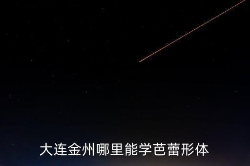 金州哪里学舞蹈好，大连金州哪里能学芭蕾形体