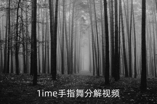 小孩手势舞教程视频，1ime手指舞分解视频