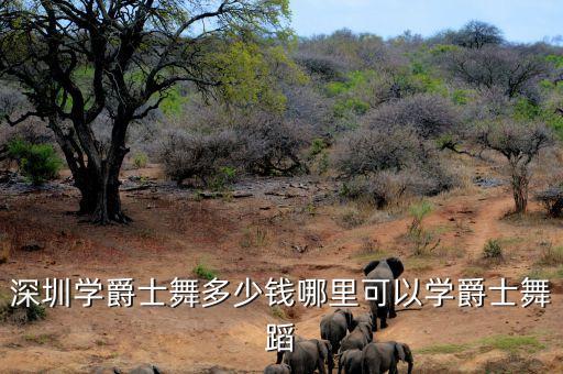 深圳学爵士舞多少钱哪里可以学爵士舞蹈