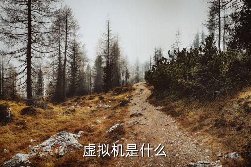 什么是坝坝舞，什么是PAIPAI