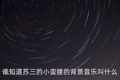 谁知道苏三的小蛮腰的背景音乐叫什么