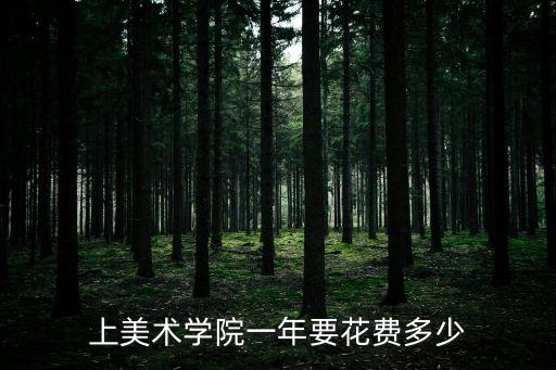 上美术学院一年要花费多少