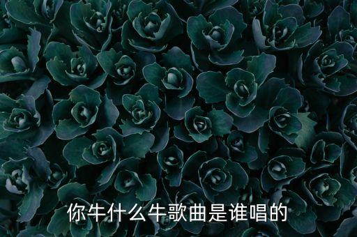 你牛什么牛歌曲是谁唱的