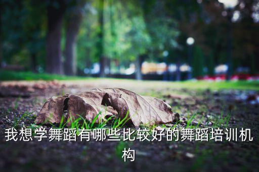 舞蹈班培训机构swot，舞蹈艺术培训中心的简介怎么写