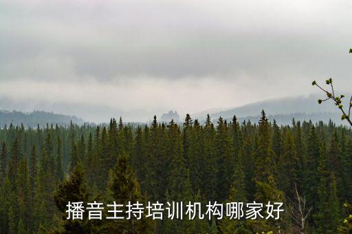 播音主持培训机构哪家好