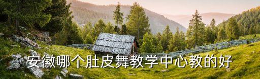 安徽哪个肚皮舞教学中心教的好