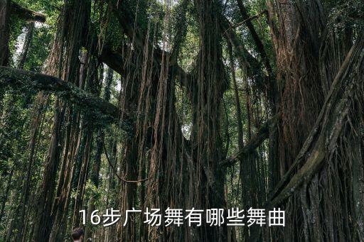 16步跳舞初学者舞曲，16步广场舞有哪些舞曲