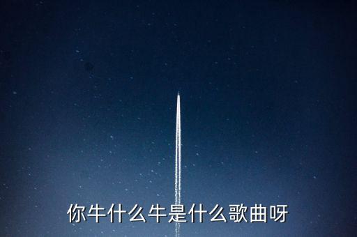 你牛什么牛是什么歌曲呀