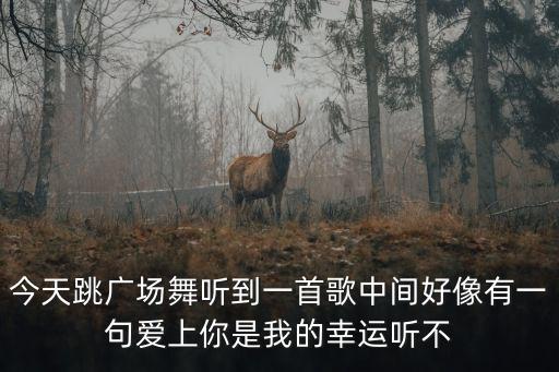 广场舞心肉是什么歌名，3分钟之内的广场舞歌曲有哪些