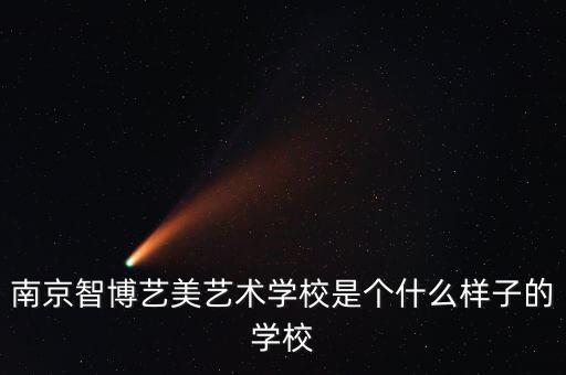 南京智博艺美艺术学校是个什么样子的学校