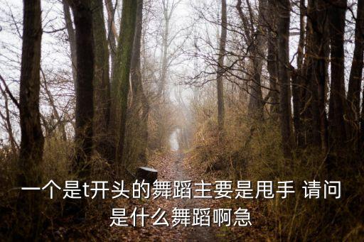 一个是t开头的舞蹈主要是甩手 请问是什么舞蹈啊急