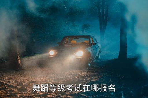 舞蹈等级考试在哪报名