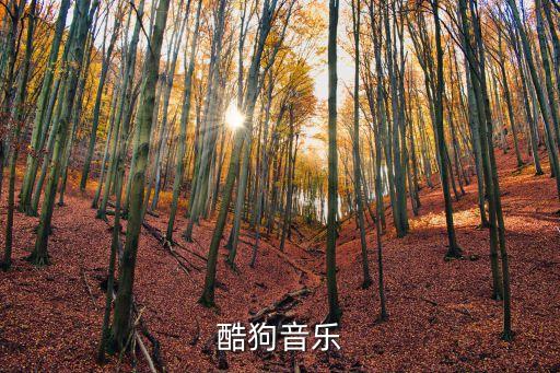 下载酷狗2023音乐车机版，酷狗音乐