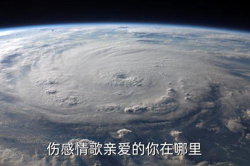 亲爱的你在哪里 红领巾广场舞，亲爱的你在哪里