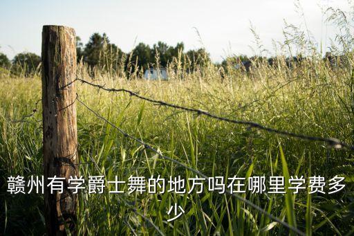 赣州爵士舞培训哪里好，赣州那里有专学爵士舞的