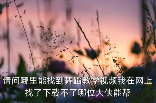 请问哪里能找到舞蹈教学视频我在网上找了下载不了哪位大侠能帮