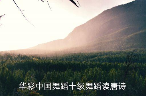 华彩中国舞蹈十级舞蹈读唐诗