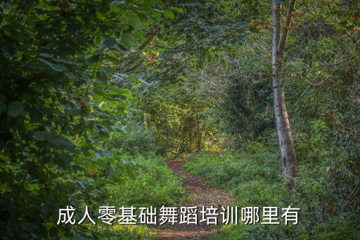 成人学舞蹈的地方，成人舞蹈培训去哪里