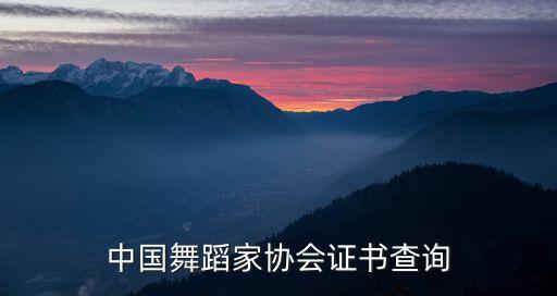 中国舞蹈家协会证书查询