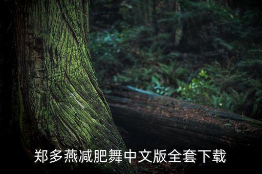 郑多燕减肥舞中文版全套下载