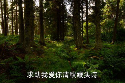 求助我爱你清秋藏头诗