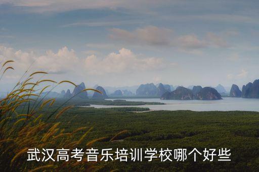 武汉高考音乐培训学校哪个好些