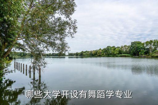 哪些大学开设有舞蹈学专业