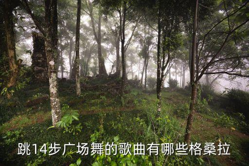 跳14步广场舞的歌曲有哪些格桑拉
