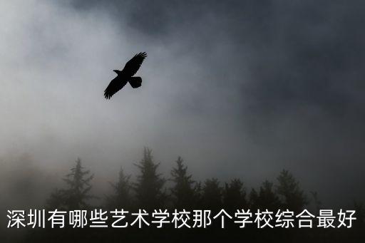深圳有哪些艺术学校那个学校综合最好