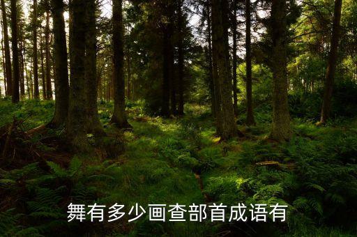 舞有多少画查部首成语有