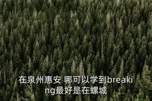 在泉州惠安 哪可以学到breaking最好是在螺城
