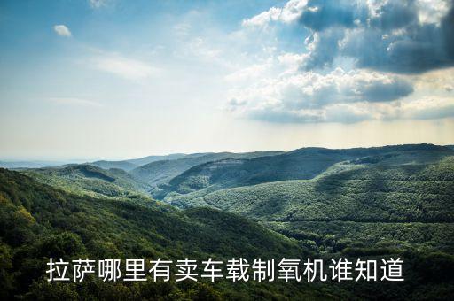 拉萨哪里有卖车载制氧机谁知道
