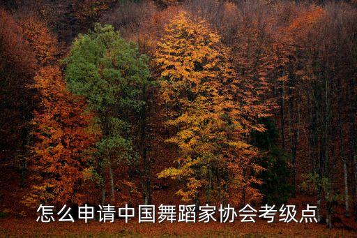 怎么申请中国舞蹈家协会考级点