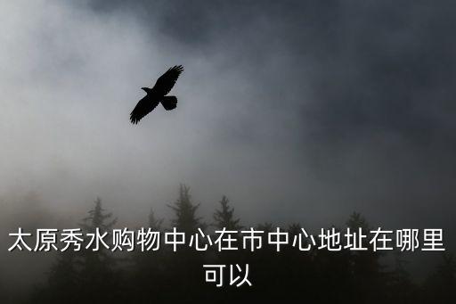 太原秀水购物中心在市中心地址在哪里可以