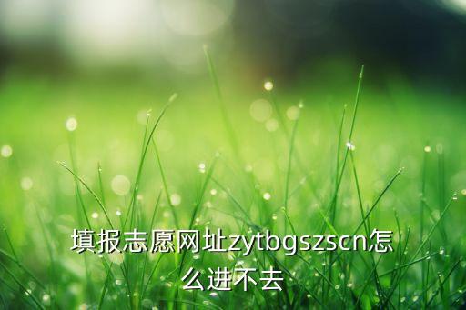 填报志愿网址zytbgszscn怎么进不去
