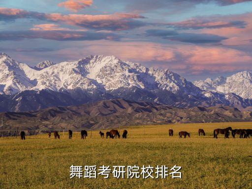 舞蹈考研院校排名