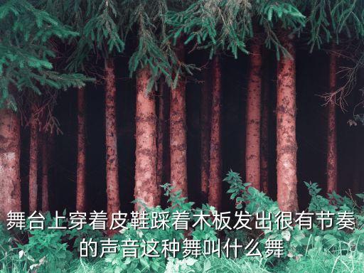 舞台上穿着皮鞋踩着木板发出很有节奏的声音这种舞叫什么舞